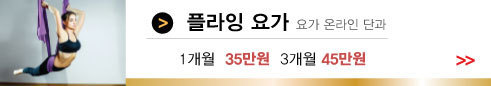 이미지명